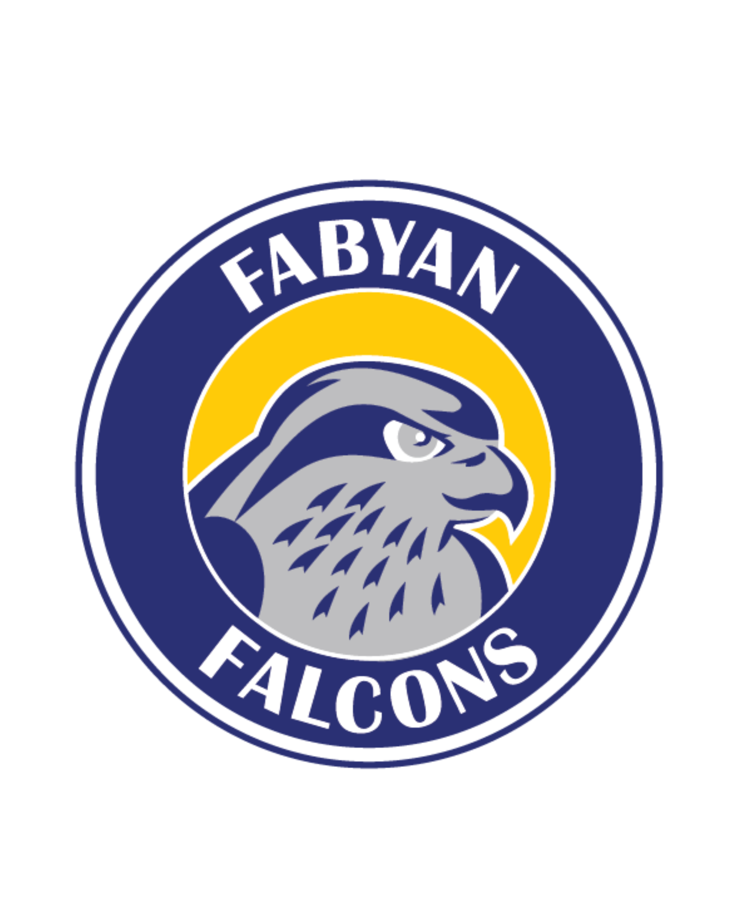 Fabyan Falcons