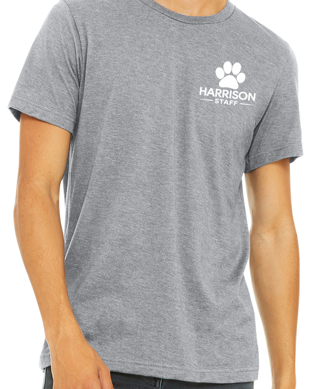 Heat Pressed BELLA+CANVAS® Unisex Heather CVC Short Sleeve Tee