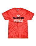 LW Youth/Adult Crystal Wash T-Shirt