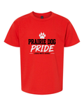 LW Adult Softstyle® Pride T-Shirt