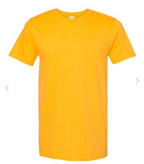 GM Adult Softstyle® T-Shirt